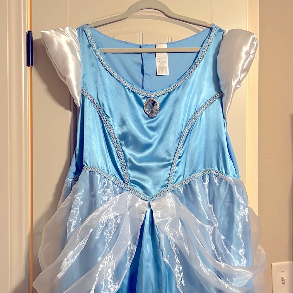 Disney Cinderella dress Adult Halloween costume size 1X